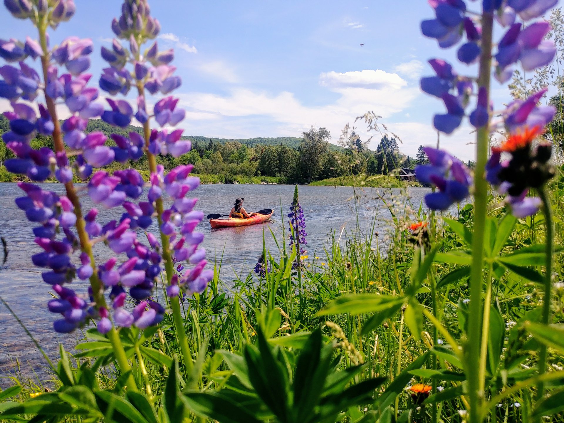 Kayak-1-Audrey-Favre.jpg